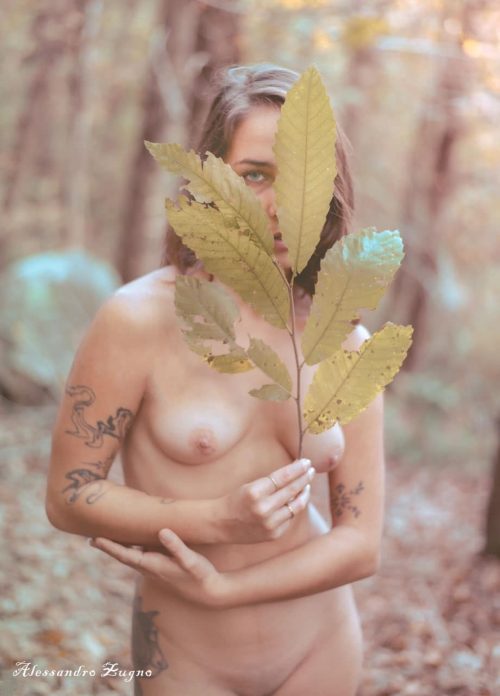 fotografia artistica donna nuda nella foresta